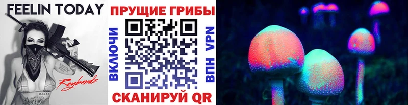 Купить закладки  Грайворон  Псилоцибиновые грибы GOLDEN TEACHER 